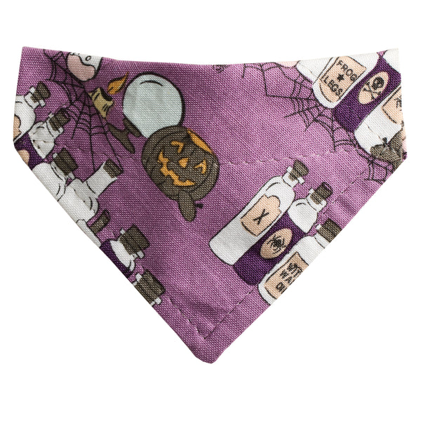 The Spellbound - Cat / Small Dog Bandana