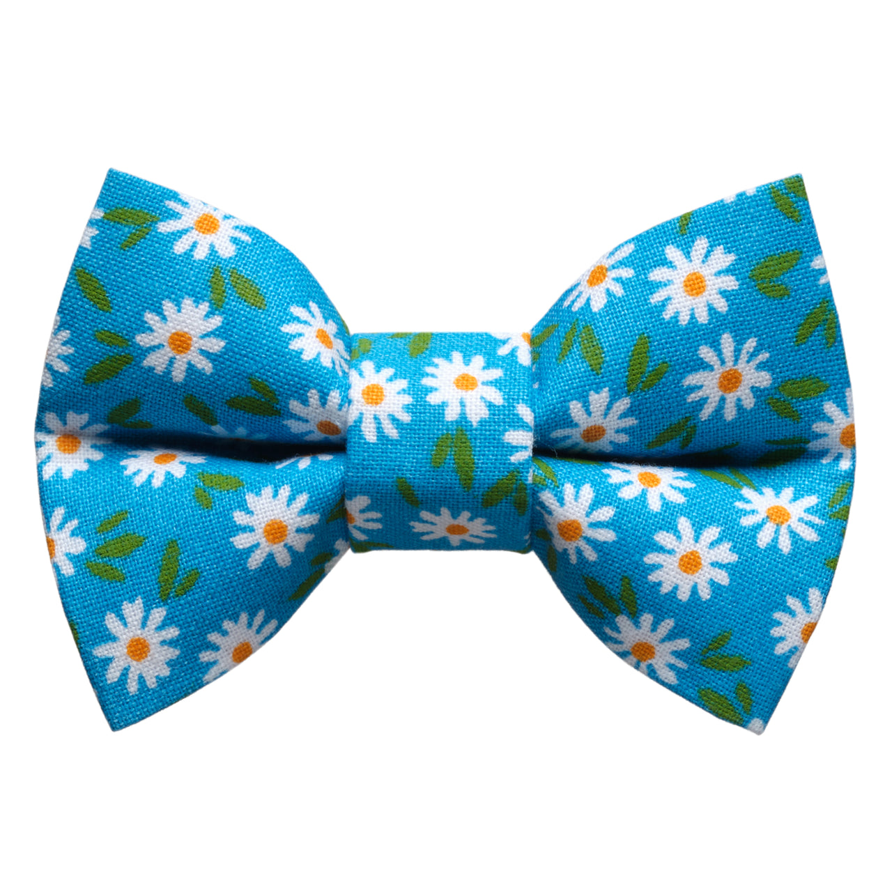 The Ok, Bloomer - Cat / Dog Bow Tie