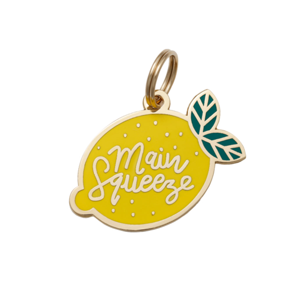 Main Squeeze - Dog ID Tag / Charm – Sweet Pickles Designs